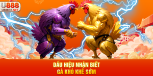 Dấu hiệu nhận biết gà khò khè sớm